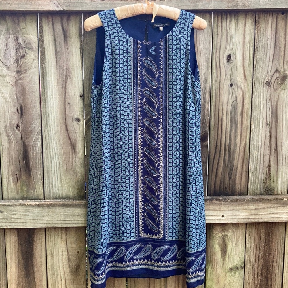 Rose & olive blue paisley dress